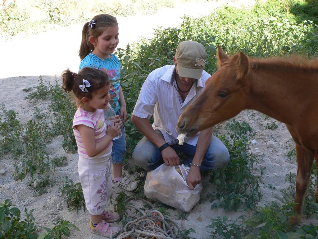 Crazy Horse Pension Ürgüp Zewnętrze zdjęcie